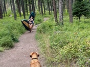 Holland Lake/Flathead National Forest