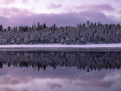 Coconino National Forest
