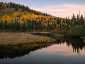 Uinta-Wasatch-Cache National Forest
