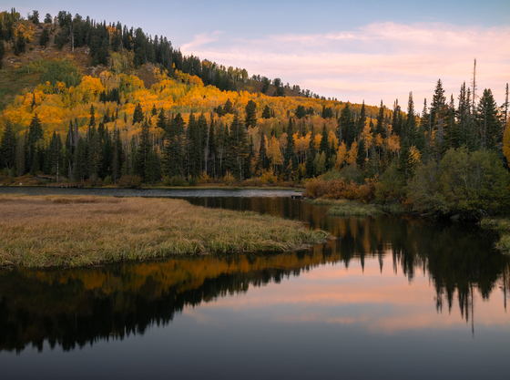 Uinta-Wasatch-Cache National Forest