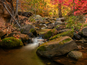 Tonto National Forest