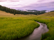 Apache-Sitegreaves National Forest