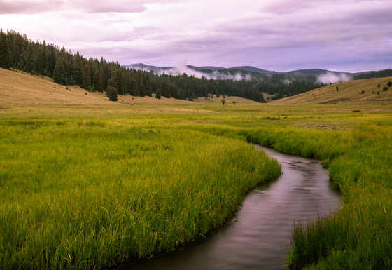 Apache-Sitegreaves National Forest