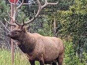 Rocky Mountain National Park 