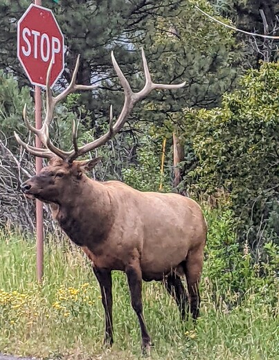Rocky Mountain National Park 