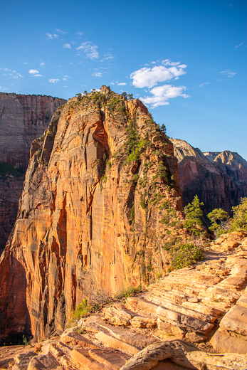 Zion National Park