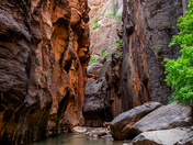 Zion National Park