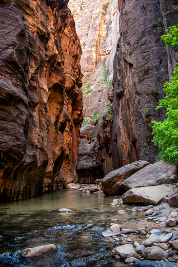 Zion National Park
