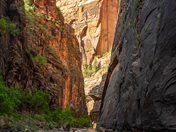 Zion National Park