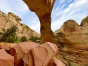 Capital Reef National Park