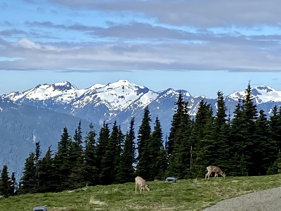 Olympia National Park