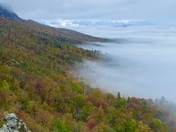 Pisgah National Forest