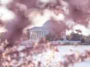 National Mall and Memorial Parks