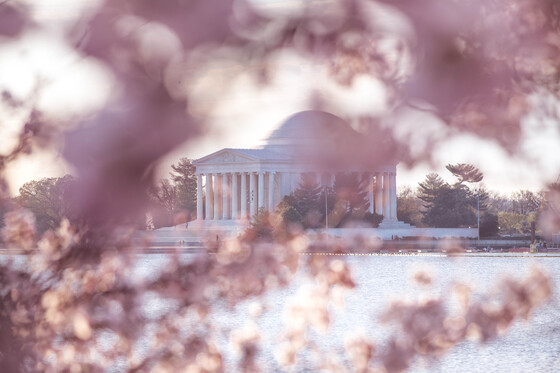 National Mall and Memorial Parks