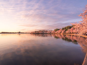 National Mall and Memorial Parks
