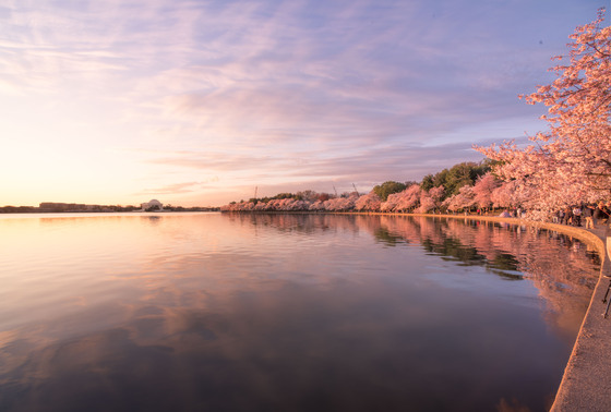 National Mall and Memorial Parks