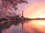 National Mall and Memorial Parks
