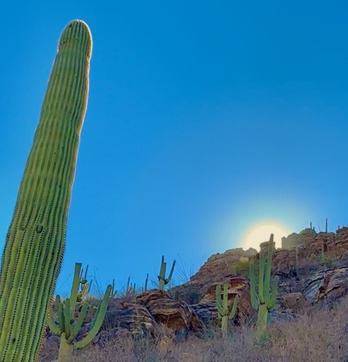Sabino Canyon Recreation Area