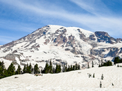Mount Rainier National Park