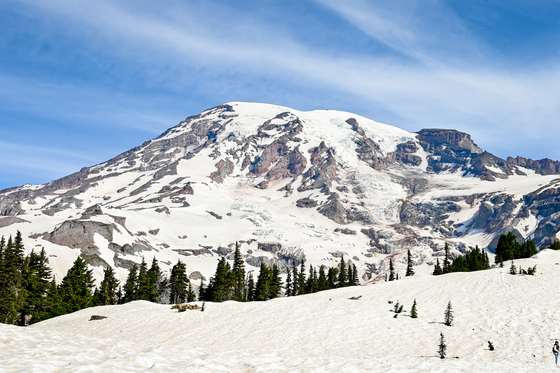 Mount Rainier National Park