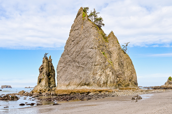 Olympic National Park