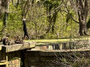 Chesapeake and Ohio Canal