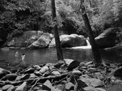 Smoky Mountain National Park 