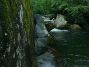 Smoky Mountain National Park