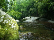 Smoky Mountain National Park