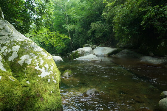 Smoky Mountain National Park