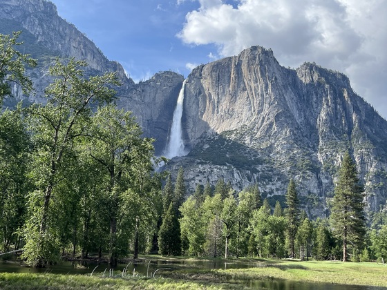 Yosemite National Park