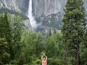 Yosemite National Park