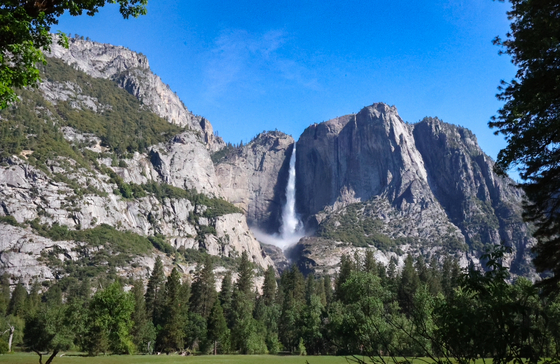 Yosemite National Park