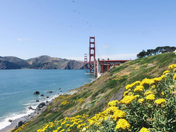 Golden Gate Bridge