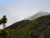 Great Smoky Mountains National Park