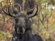 Turnbull National Wildlife Refuge