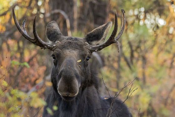 Turnbull National Wildlife Refuge