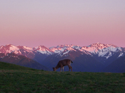 Olympic National Park
