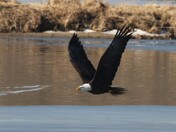 Mississippi National River & Recreation Area Minnesota