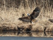 Mississippi National River & Recreation Area Minnesota
