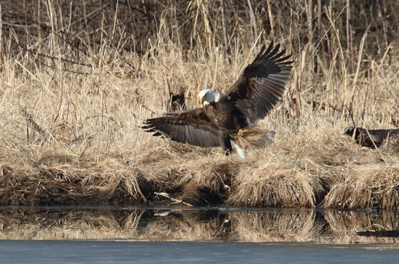 Mississippi National River & Recreation Area Minnesota