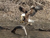 Mississippi National River & Recreation Area Minnesota