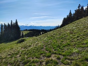 Olympic National Park