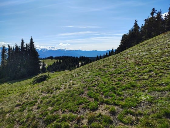 Olympic National Park