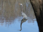 Mississippi National River & Recreation Area Minnesota