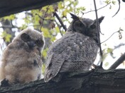 Mississippi National River & Recreation Area Minnesota