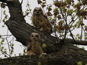 Mississippi National River & Recreation Area Minnesota