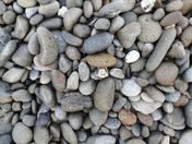 Olympic National Park