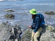 Olympic National Park