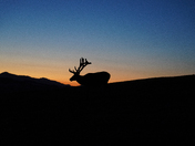 Rocky Mountain National Park